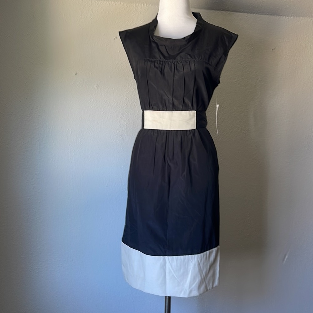 🆕NWT Zara Basic Beautiful Dress